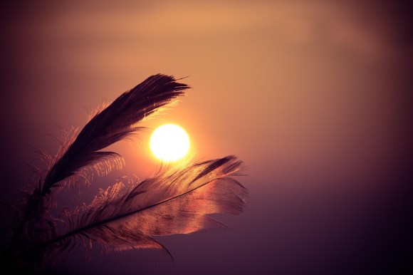 Pleine lune sur fond ocre, entourée par 2 plumes.